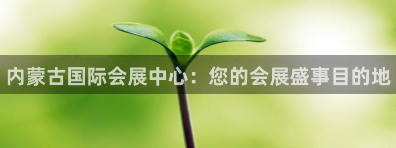 果博注册平台怎么注册不了