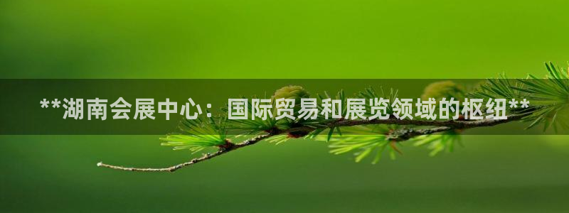 果博平台开户电话号码：**湖南会展中心：