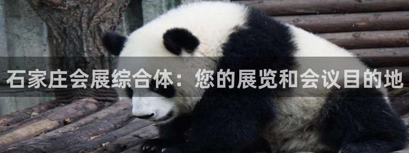 果博公司电话：石家庄会展综合体：您的展览