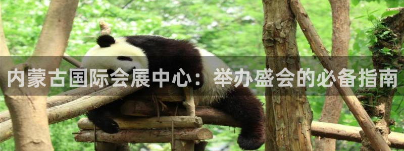 果博公司开户注册