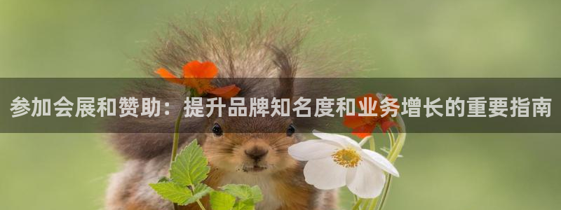 苹果电脑怎么下载博弈大师等软件：参加会展和赞助：提升品牌知名度和业务增长的重要指南