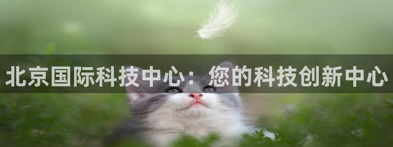 果博公司会员怎么开户：北京国际科技中心：