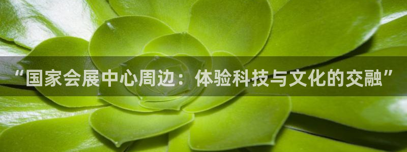 果博平台真实吗安全吗：“国家会展中心周边：体验科技与文化的交融”