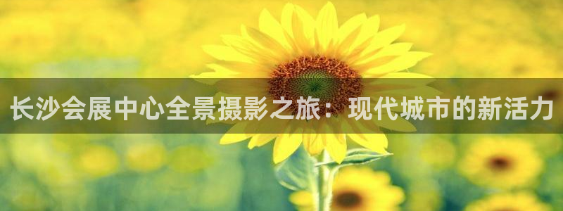 果博是怎么登录的：长沙会展中心全景摄影之旅：现代城市的新活力