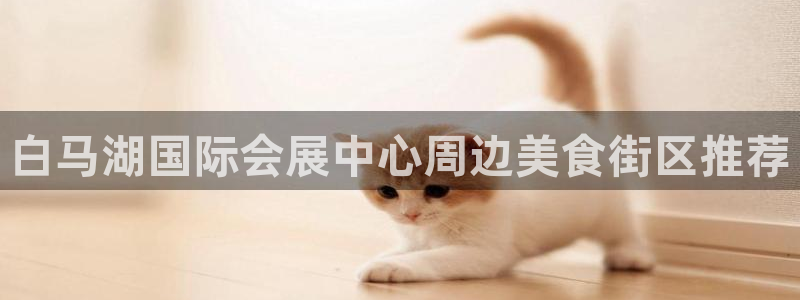 果博公司直属会员开户：白马湖国际会展中心周边美食街