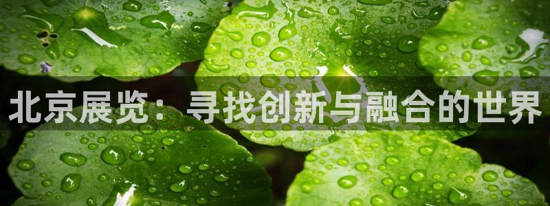 果博公司网站：北京展览：寻找创新与融合的
