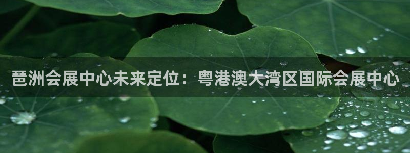 果博注册电话：琶洲会展中心未来定位：粤港