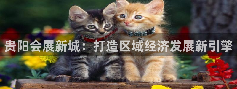 果博公司怎么开户：贵阳会展新城：打造区域