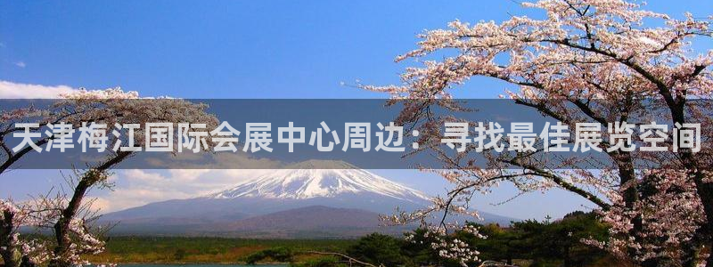 果博注册会员多少钱：天津梅江国际会展中心周边：寻找