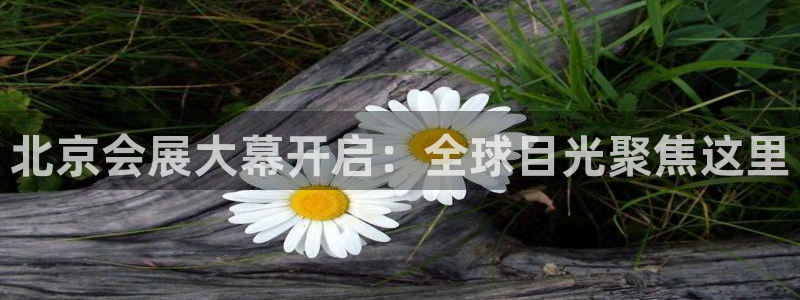 果博平台开户电话查询：北京会展大幕开启：全球目光聚焦这里