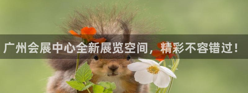 果博公司会员注册账号：广州会展中心全新展览空间，精彩不容错过！