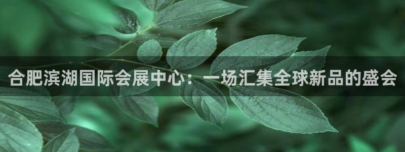 手机怎样下载果博：合肥滨湖国际会展中心：一场汇集全球新品的盛会