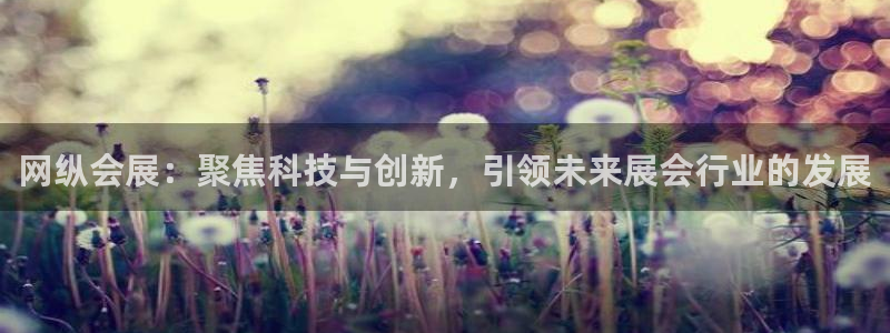 果博旗舰厅：网纵会展：聚焦科技与创新，引领未来展会