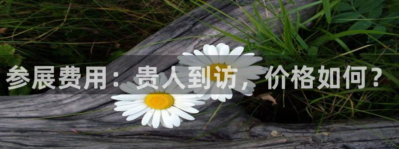 果博客服电话多少：参展费用：贵人到访，价格如何？