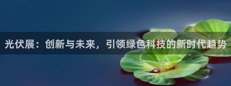 果博注册会员多少钱：光伏展：创新与未来，