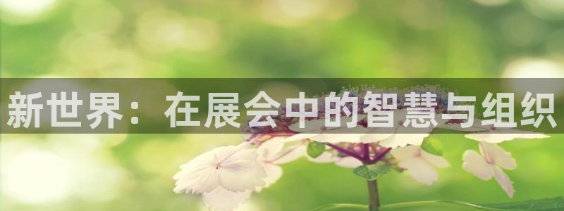 果博东手机版下载开户：新世界：在展会中的智慧与组织