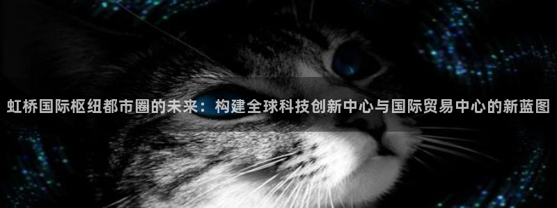 果博园简介：虹桥国际枢纽都市圈的未来：构