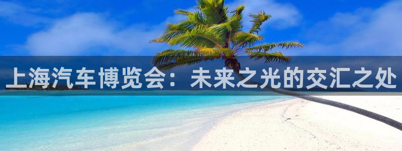 果博平台开户电话号码：上海汽车博览会：未