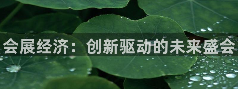 果博平台客服：会展经济：创新驱动的未来盛