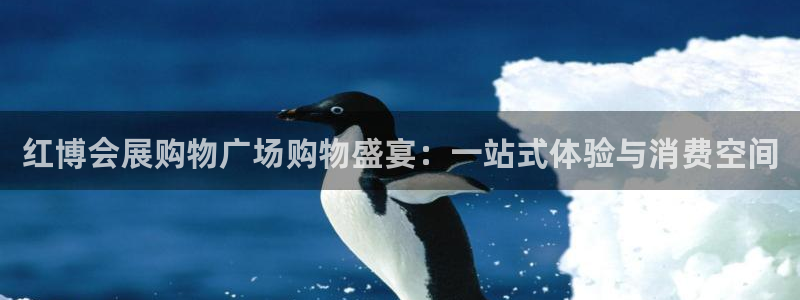 果博东手机版下载开户：红博会展购物广场购