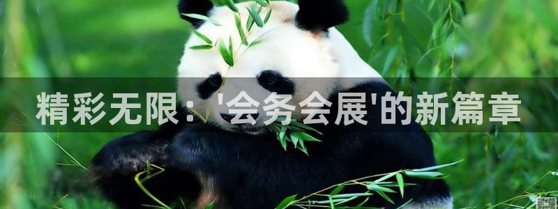 果博官网客服电话号码：精彩无限：\'会务会展\'的新篇章