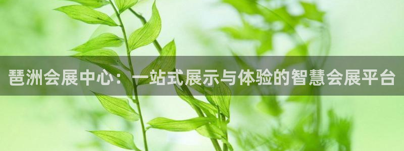 果博总台电话：琶洲会展中心：一站式展示与体验的智慧