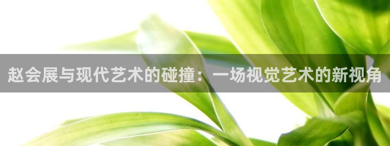 果博公司在线客服：赵会展与现代艺术的碰撞：一场视觉艺术的新视角