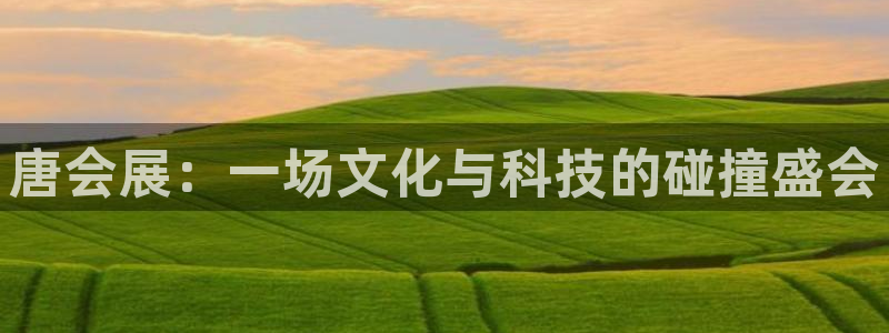 果博平台客服：唐会展：一场文化与科技的碰撞盛会