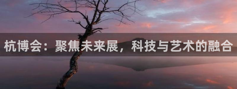 果博电话
