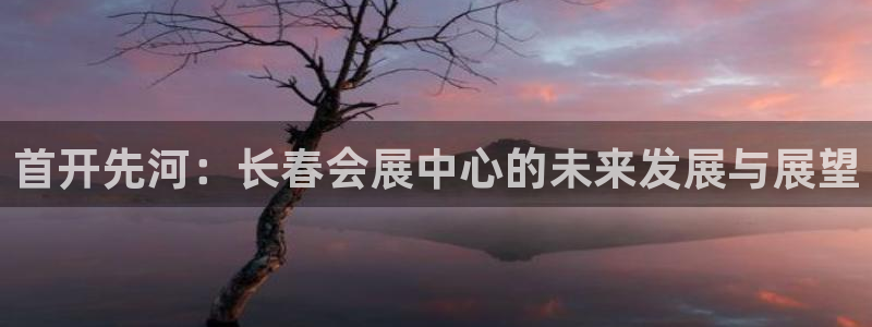 下载果博博东方下载：首开先河：长春会展中