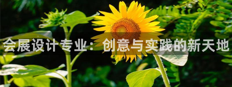 果博账号注册：会展设计专业：创意与实践的
