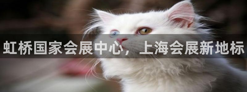 果博公司会员账号开户:虹桥国家会展中心,