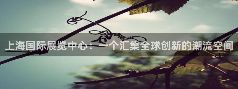 果博手机下载：上海国际展览中心：一个汇集全球创新的潮流空间