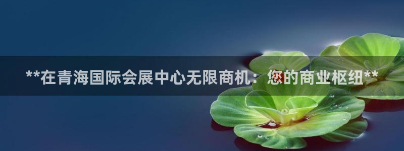 果博公司开户注册：**在青海国际会展中心