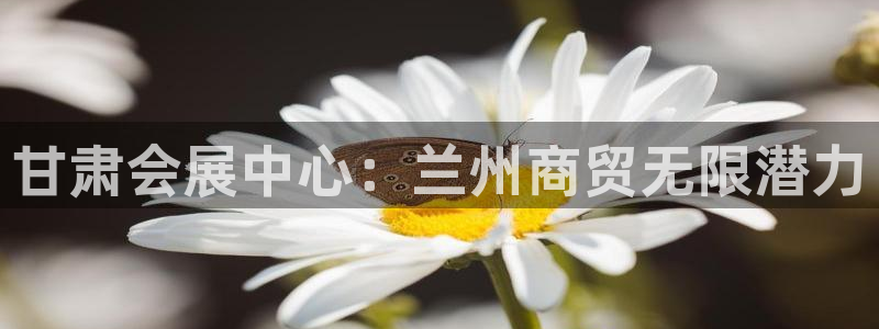果博服务电话