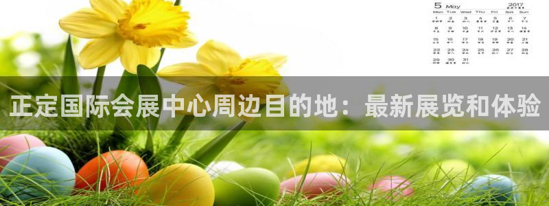果博东手机版下载开户：正定国际会展中心周