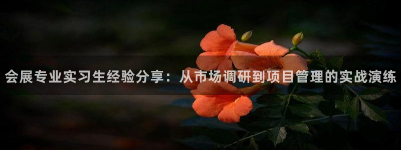 果博官网首页:会展专业实习生经验分享:从