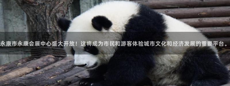 果博公司怎么开户：永康市永康会展中心盛大
