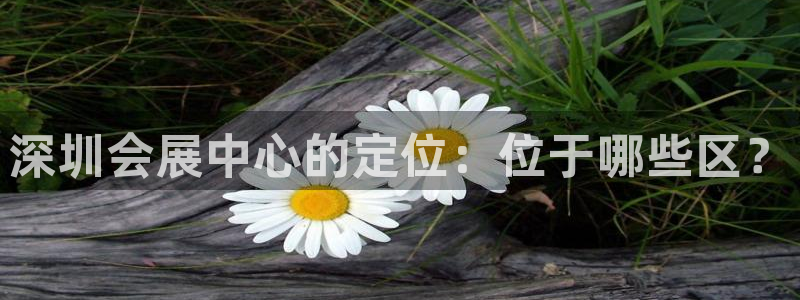 果博官网客服：深圳会展中心的定位：位于哪