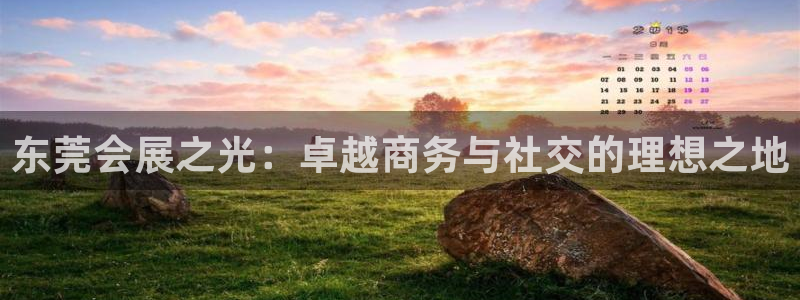 果博注册平台怎么注册：东莞会展之光：卓越