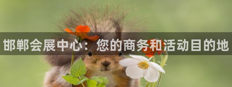 果博公司网站：邯郸会展中心：您的商务和活动目的地