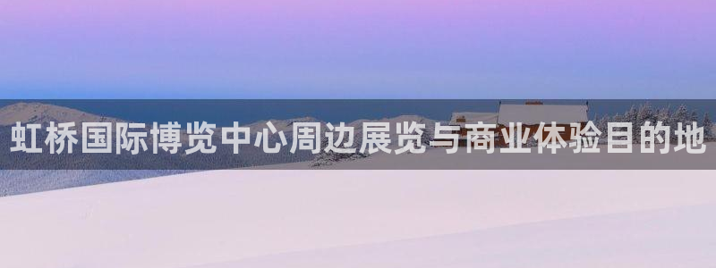 果博公司：虹桥国际博览中心周边展览与商业