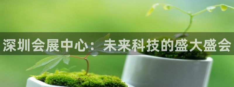 果博平台真实吗知乎：深圳会展中心：未来科