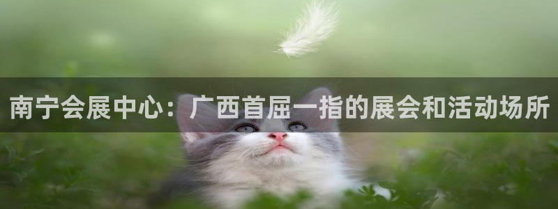 果博总台电话：南宁会展中心：广西首屈一指