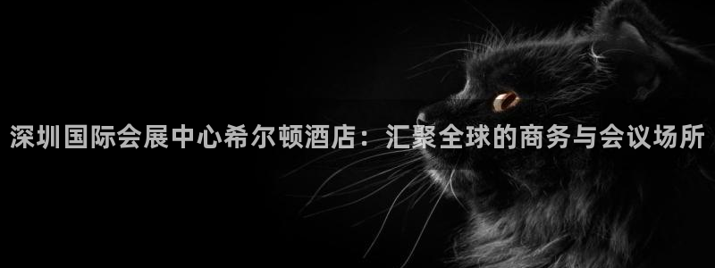 果博手机版下载：深圳国际会展中心希尔顿酒店：汇聚全球的商务与会议场所