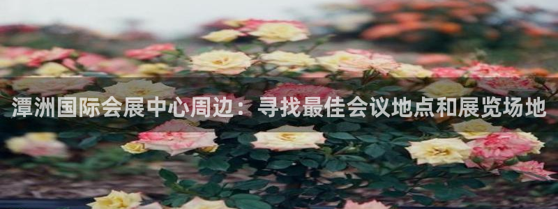 果博怎么注册账号和密码：潭洲国际会展中心周边：寻找最佳会议地点和展览场地