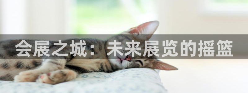 果博公司会员注册账号：会展之城：未来展览