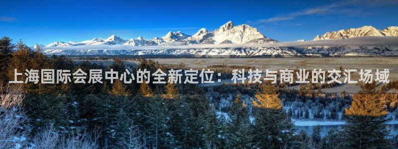 果博平台苹果电脑怎么下载：上海国际会展中