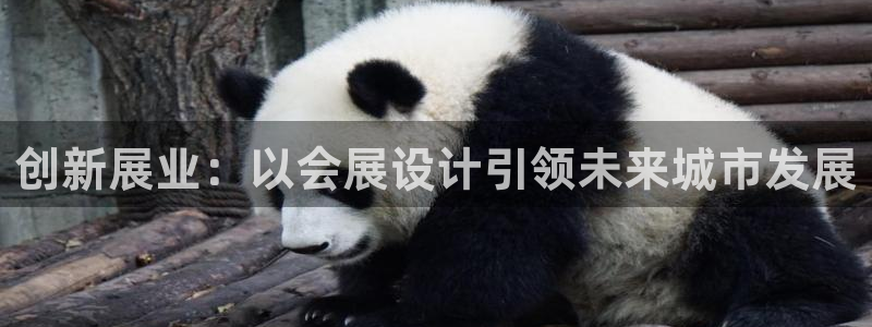 果博手机版下载