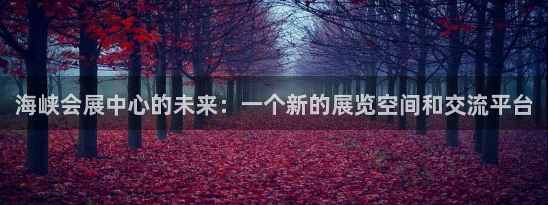 果博注册充值怎么充：海峡会展中心的未来：